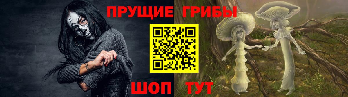 Псилоцибиновые грибы Cubensis Конаково